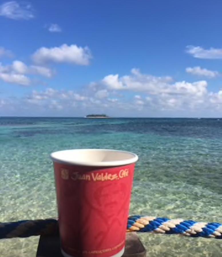 Hipocampo Azul Inn